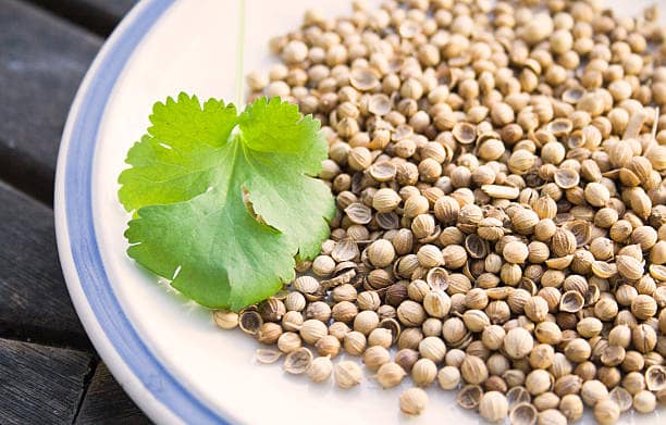 قیمت تخم گشنیز خوب با کیفیت ارزان + خرید عمده